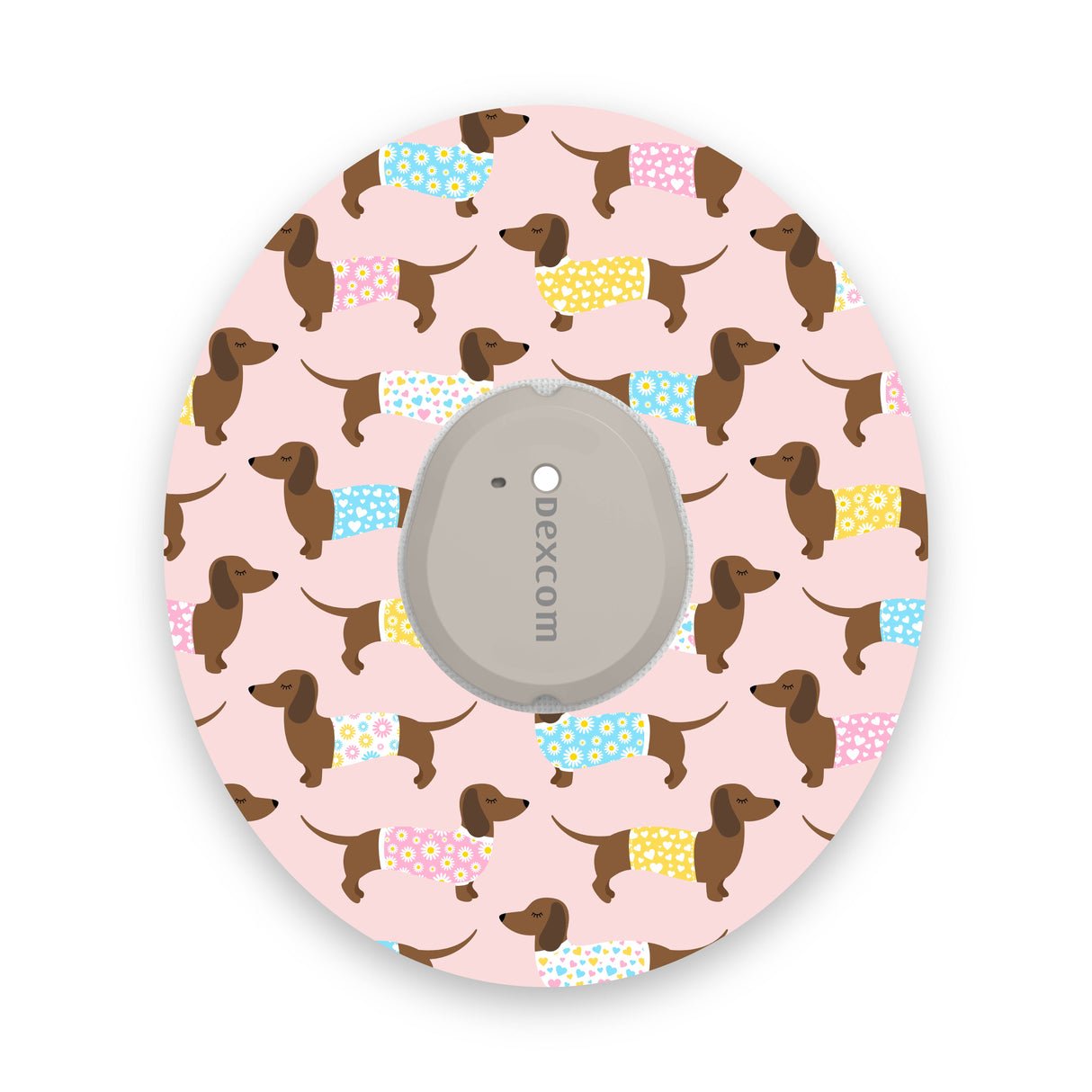 Dachshunds Dexcom G7 Diabetes Patch